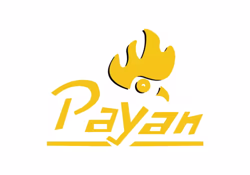 logo Payan